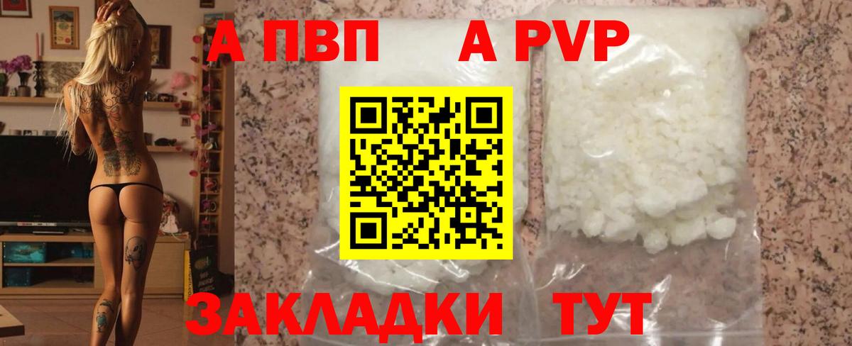 A PVP СК КРИС Казань