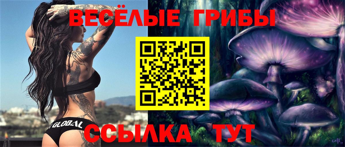 Псилоцибиновые грибы Psilocybine cubensis  где можно купить   Казань  Вход с VPN 